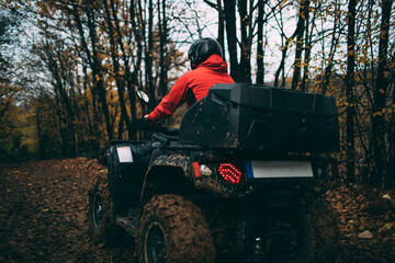 Fototapeta premium Rear view of atv rider in the autumn forest
