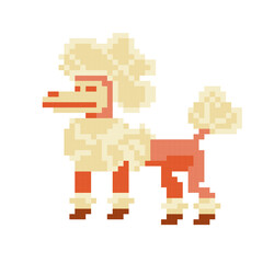 Obraz premium Dog breeds. Pixel art 80s style icons. Stickers and embroidery design. Video game sprite. Logo design template for pet shops, veterinary clinics and animal shelters homeless. Vector illustration.