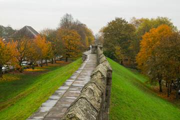 Part of trail at top of medieval 13th century stone city wall through colorful autumn foliage in...