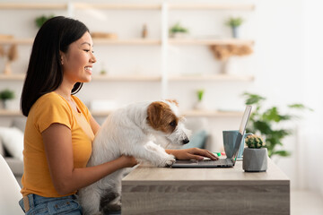 Pretty chinese lady freelancer working from home, petting her dog