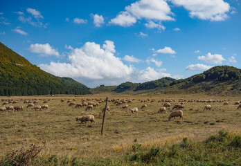 Valle d'Angri Italy