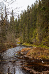 mountain river. fast stream water. autumn landscape