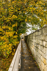 Fototapeta na wymiar Trail on top of medieval 13th century city wall through colorful autumn foliage in York England
