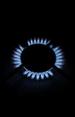 gas stove burner