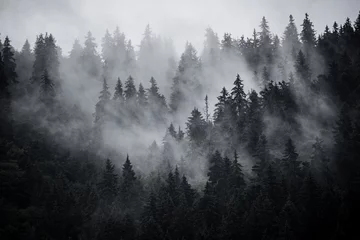 Afwasbaar Fotobehang Mistig bos Mistig berglandschap
