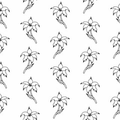 Seamless pattern black doodle lily with leaves on a white background. For packaging, design, textiles, wallpaper
