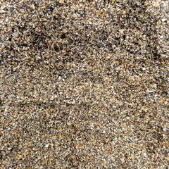  close-up of the sand on a beach