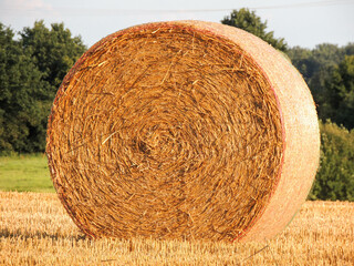 Ein Heuballen Frontalansicht