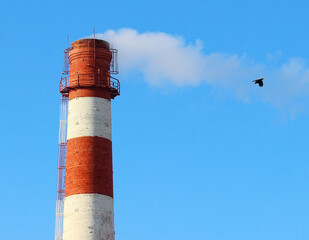 White smoke from a high brick industrial plant chimney and a bird flying in a smoke trail