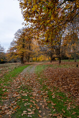 Petworth House Gardens Autumn Clour