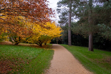 Naklejka premium Petworth House Gardens Autumn Clour