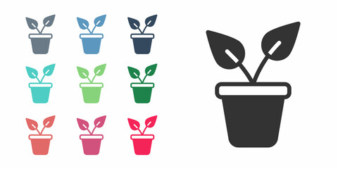 Black Plant in pot icon isolated on white background. Plant growing in a pot. Potted plant sign. Set icons colorful. Vector