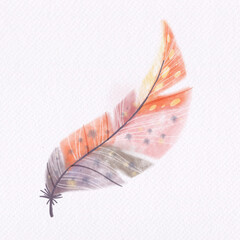 Sweet feather on white watercolor paper texture. Illustration digital paint.