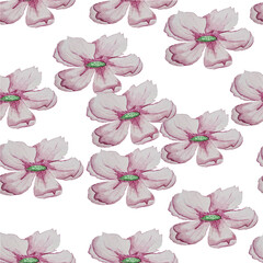 a pink watercolor flower with a green core, with pistils and stamens with curving, delicate petals.blooming in spring and summer,seamless