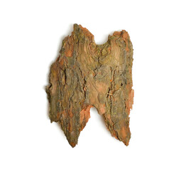 Obraz premium The front sides of a piece of pine bark. Isolated on white background