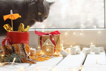 red mug with sweets in a tiger-colored scarf on a table with lights of garlands, and a silhouette of a cat against the background of a window. home christmas decorations