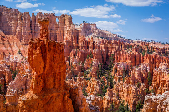 Beautiful landscape. Green pine-trees on rock slopes. Scenic view of the canyon. Bryce Canyon National Park. Utah. USA