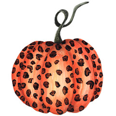 Watercolor Leopard Pumpkin Hand Painted Illustration.