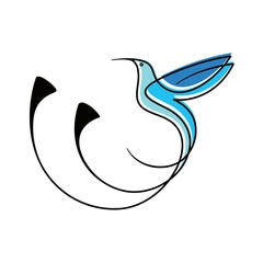 Obraz premium minimalist hummingbird logo