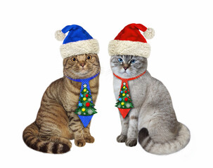 Two cats in holiday ties are sitting for Christmas. White background. Isolated.