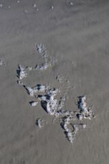 Foam on  Litchfield beach, South Carolina. Sand texture background with space for text