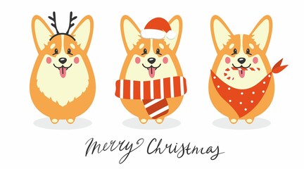 Christmas illustration of a funny corgi dog