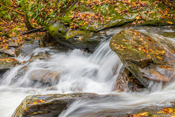 Fototapeta na wymiar Colorful fall leaves on the mossy rocks of a river - waterfall