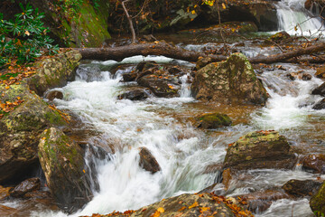 Fototapeta na wymiar River rapids with log 