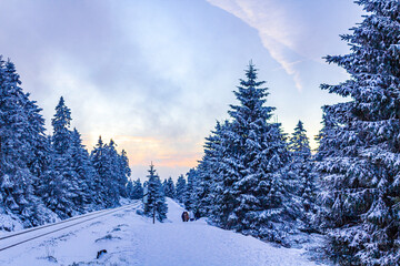 Fototapeta na wymiar Hikers people in snowed in landscape Brocken mountains Harz Germany.