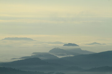 Obraz premium landscape with fog