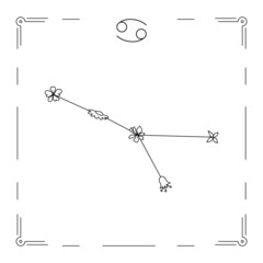 Fototapeta premium Cancer constellation with flowers and zodiac sign.