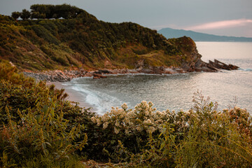 Fototapeta na wymiar view of a calm peaceful beach and coast with tropical plants