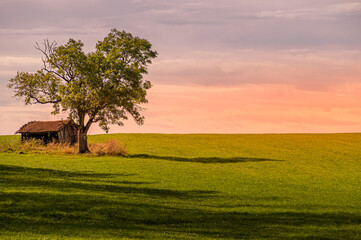 Campagne dans le soleil couchant