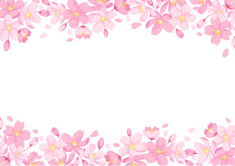 Cherry Blossoms Frame, White Background