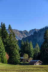 typisches Alpenpanorama mit Felsen und Wald