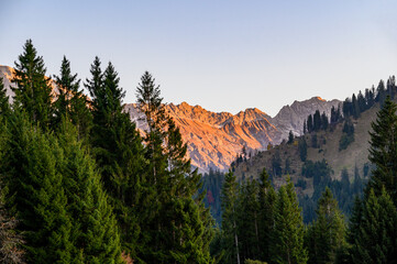 Alpenpanorama  mit Alpenglühen bei untergehender Sonne