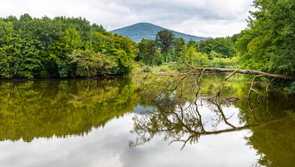 Début d'automne sur un étang au pied des Vosges