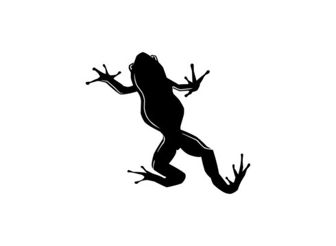 frog icon vector isolated on white, frog silhouette image