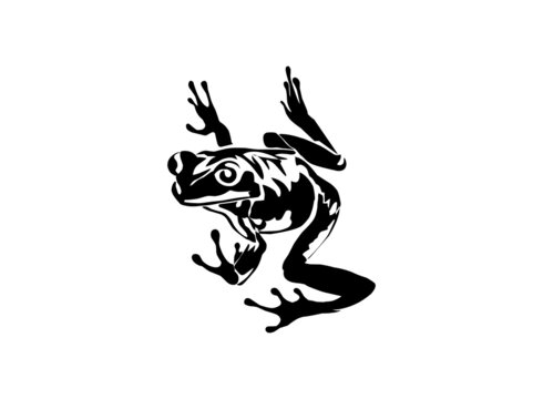 frog icon vector isolated on white, frog silhouette image