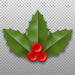 Realistic Christmas Holly Berry leaves. Vector illustration.