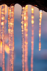 Close-up of icicles lit by the low angle winter sun
