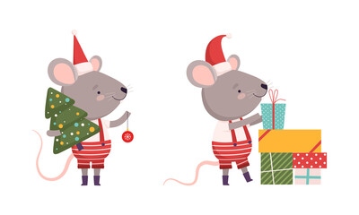 Obraz na płótnie Canvas Cute Grey Mouse in Christmas Santa Hat Holding Gift Box and Carrying Fir Tree Vector Set