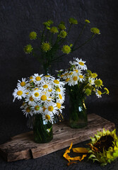 Bouquets of camomiles and other meadow flowers in glass jars on dark background