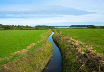 Fototapeta na wymiar Dutch countryside landscape, Typical polder and water land, Green meadow on the blue sky. Small canal or ditch on the field, Friesland Netherlands