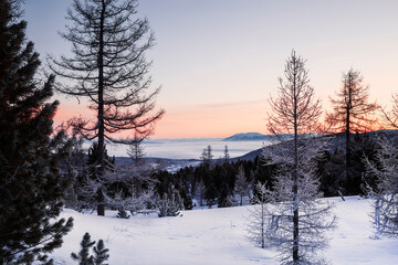 A view of frost-covered trees, snow-capped mountains and a misty valley on the horizon at dawn. Siberia, Russia