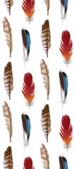 Seamless pattern with feathers. Hand-drawn illustration, colored