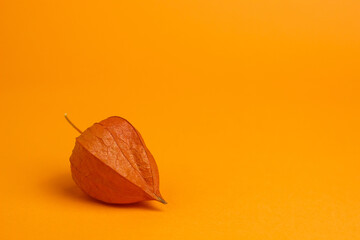 Ripe physalis berries on an orange background. View from above. Place for text and inscriptions.	