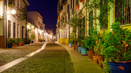 Fototapeta na wymiar Picturesque alley with old houses, flowerpots and flowers in a night atmosphere. Cordoba Spain.