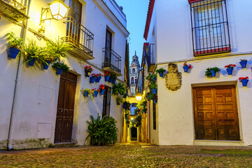 Picturesque square and narrow alley with plants and flowers at dusk in the city of Cordoba Spain.