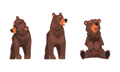 Wild Brown Grizzly Bear as Forest Habitant in Standing and Sitting Pose Vector Set